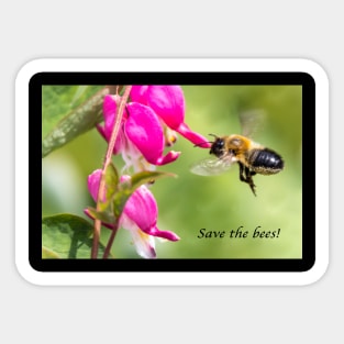 Save the bees Sticker